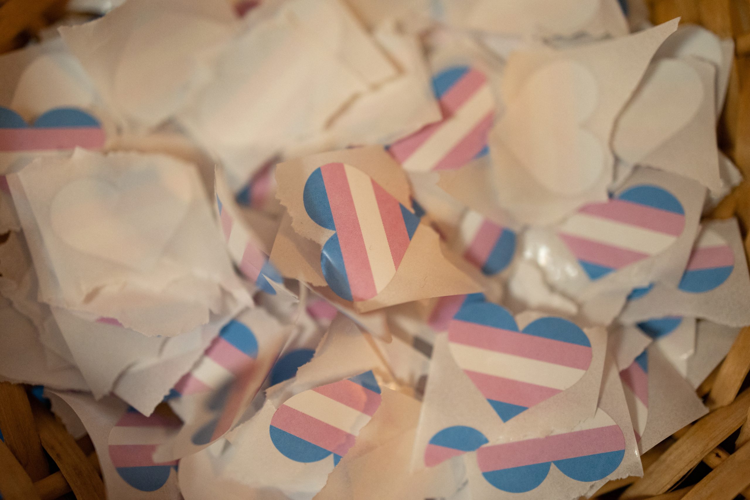 ACLU seeks to overturn law banning minor gender transitioning and abortions