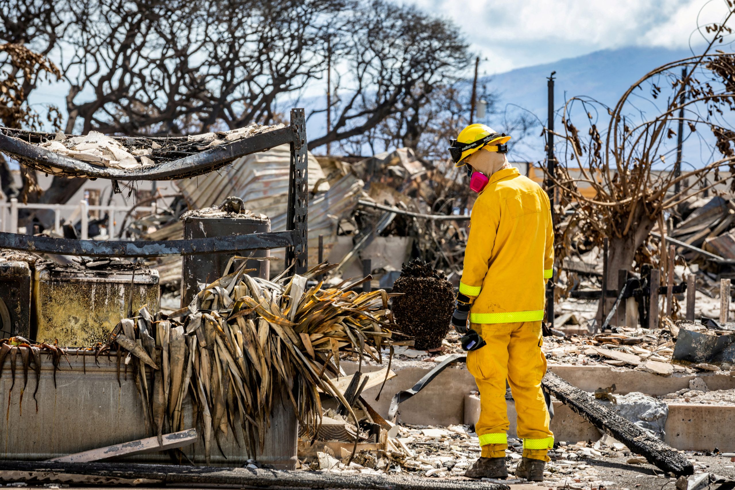 Climate activists push for national emergency as Maui death toll climbs