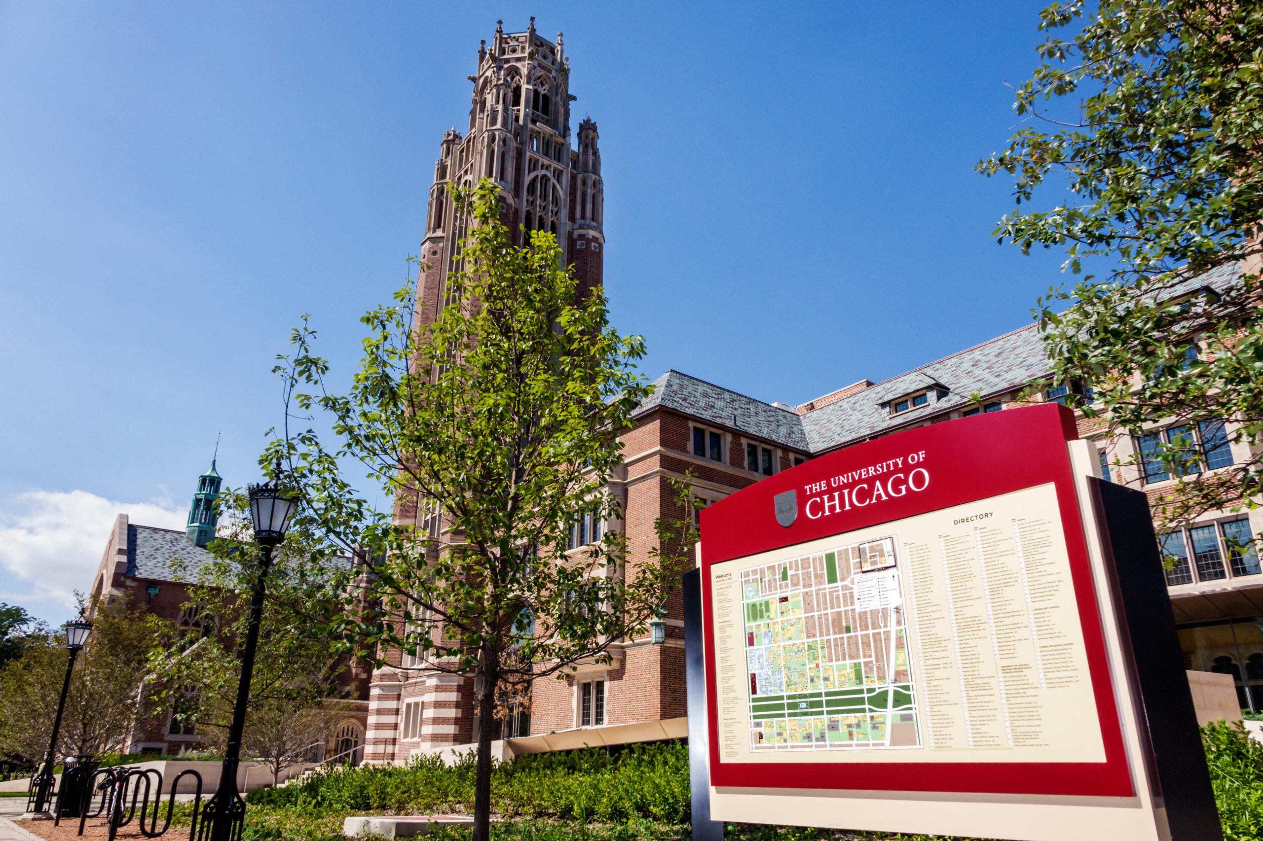 Racial hatred: U of Chicago offers course titled ‘The Problem of Whiteness’