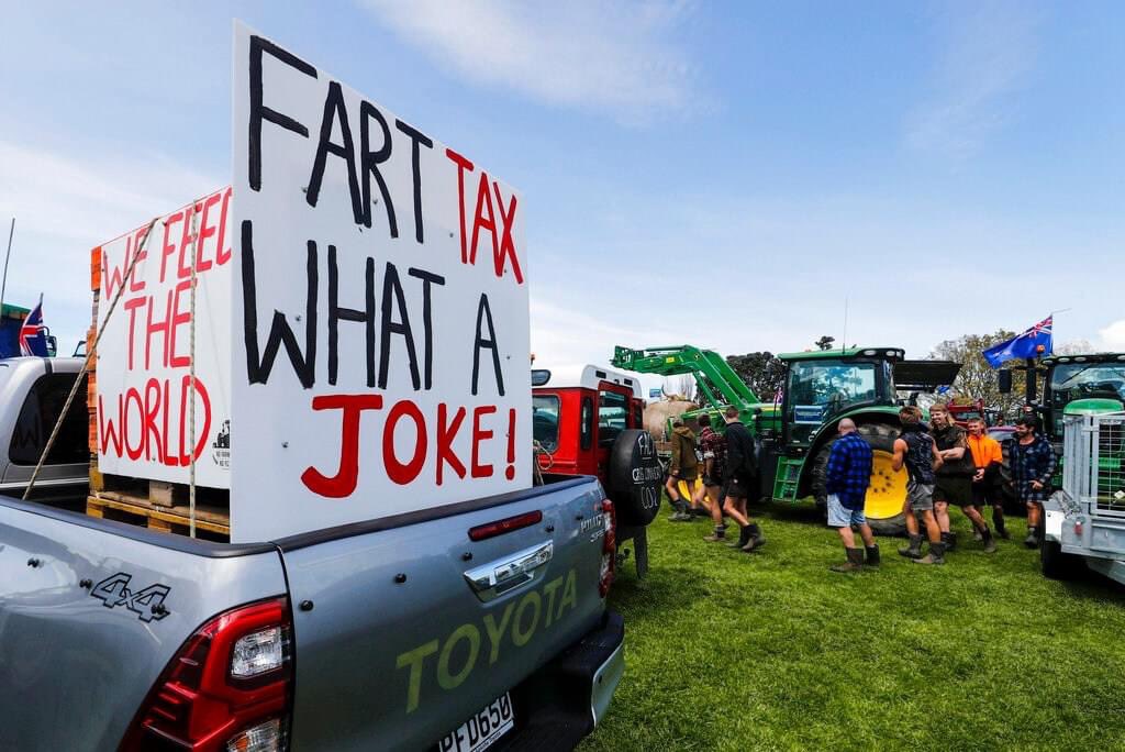 New Zealand farmers protest plan to tax cow burps