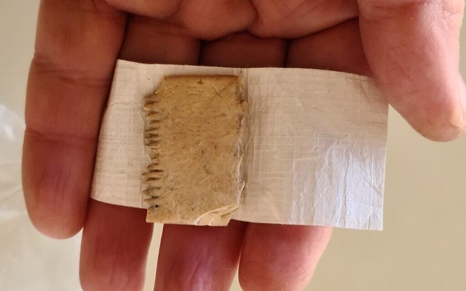 Israel: 3,700-year-old comb discovered engraved in ancient Canaanite