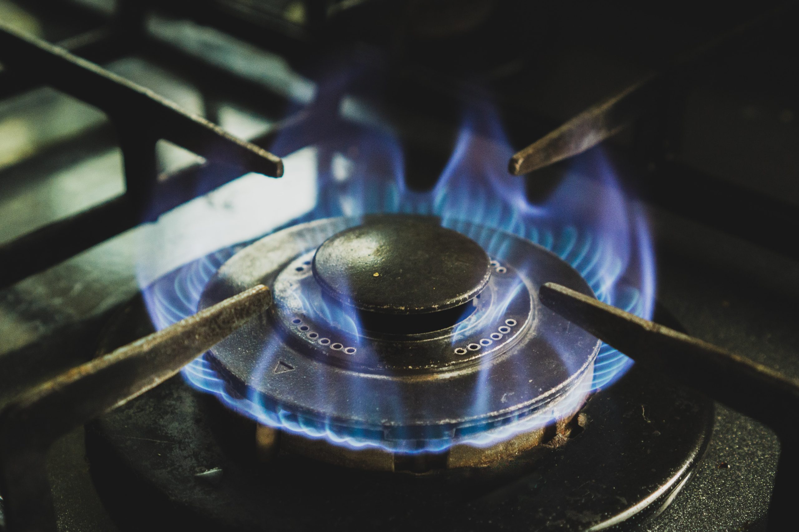 Manchin, Cruz introduce bill to ban the banishment of gas stoves