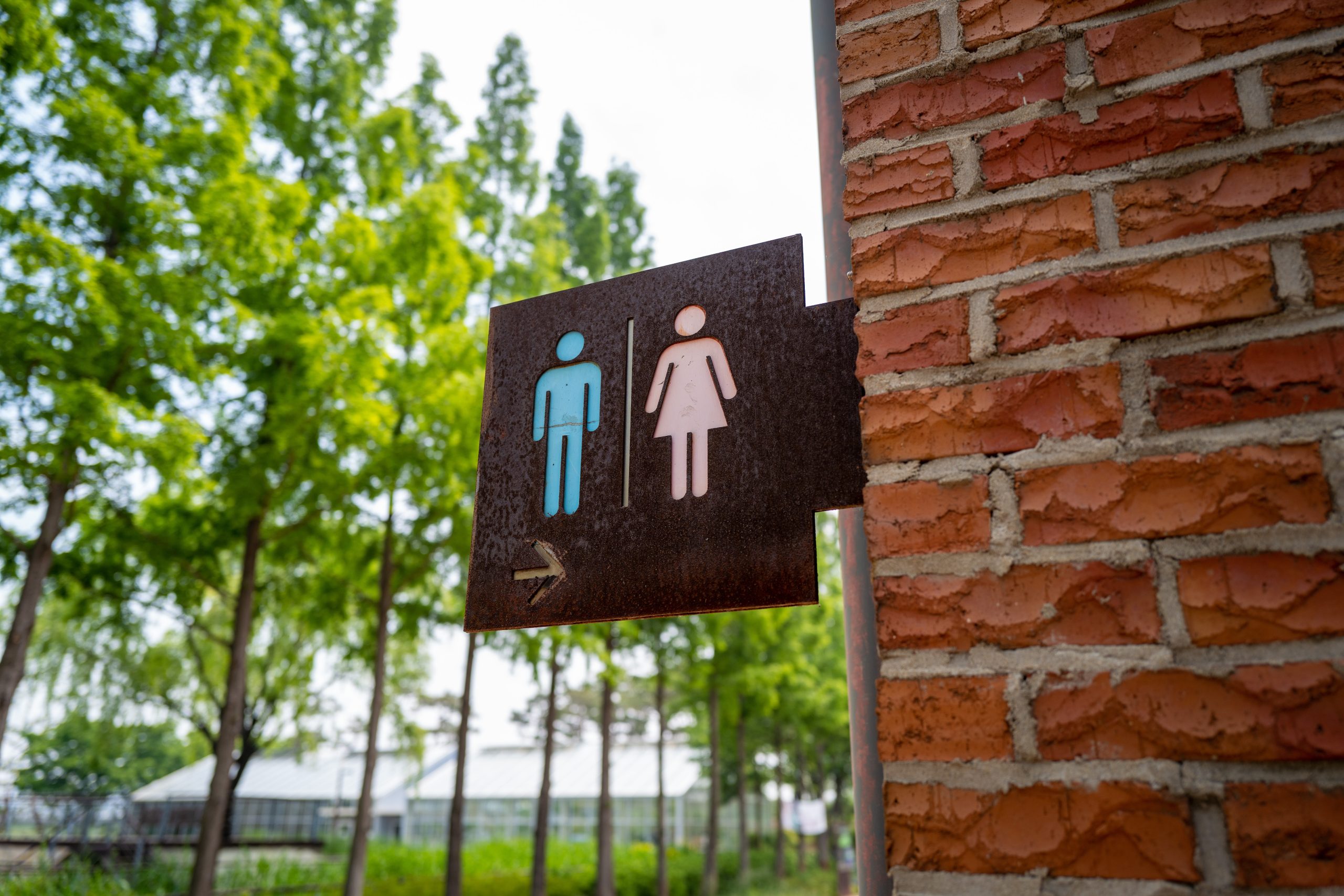 Arkansas bars trans students from using bathroom of choice in schools