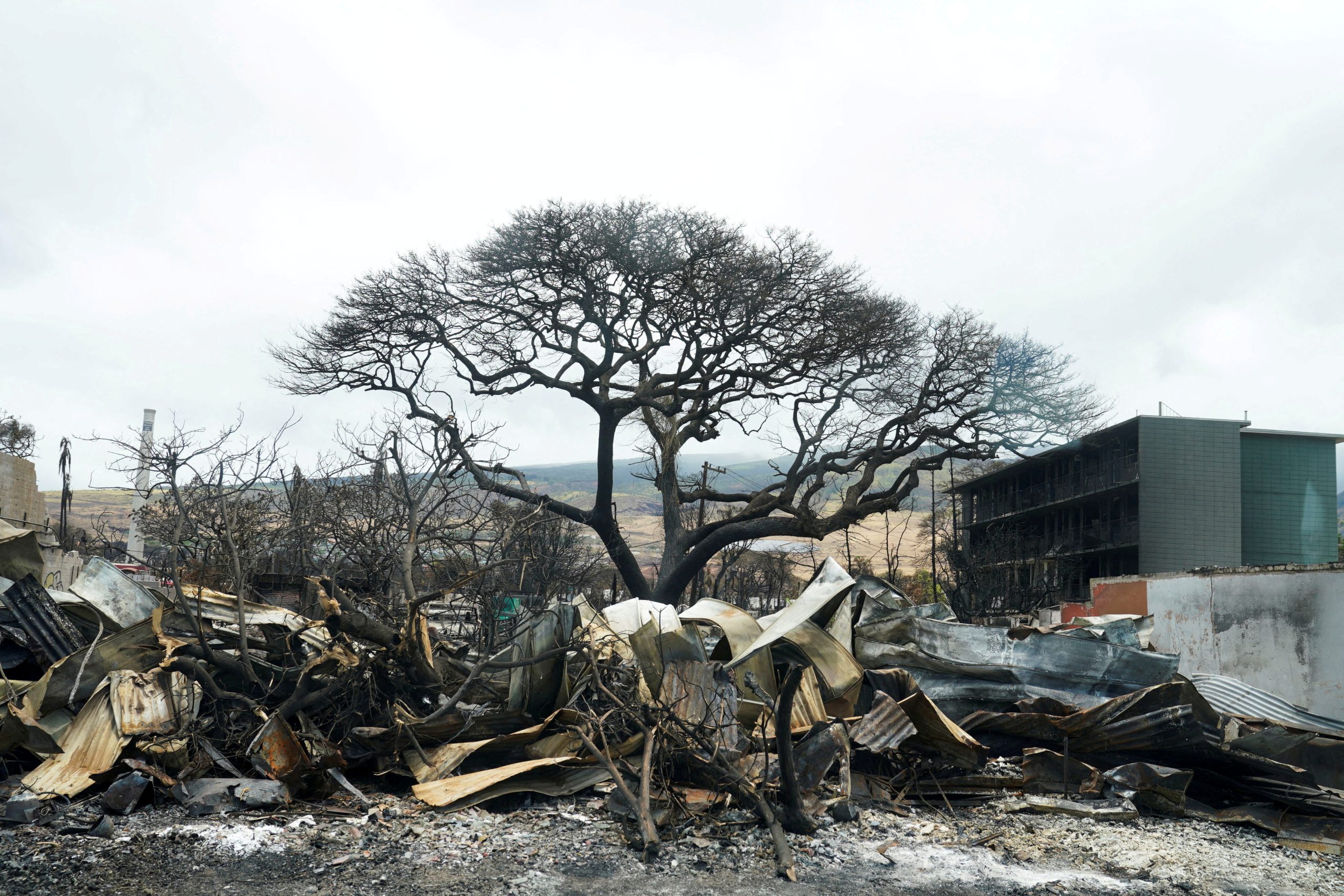 Maui families allowed into burn zone