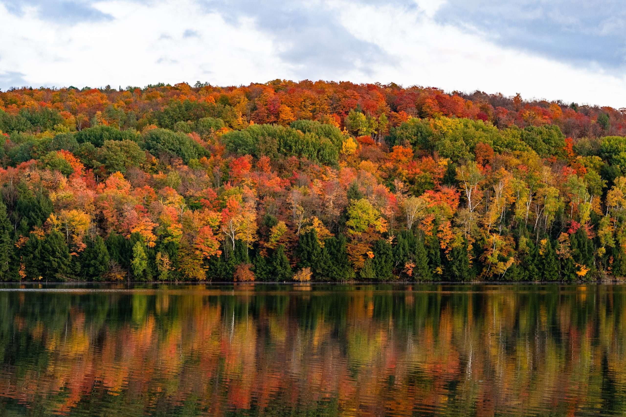 Vermont town bans influencers from ruining farms for fall photos